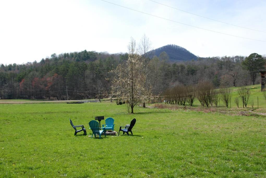 Cozy Cottage With Full View Of The Mountains! Blue Ridge Bagian luar foto
