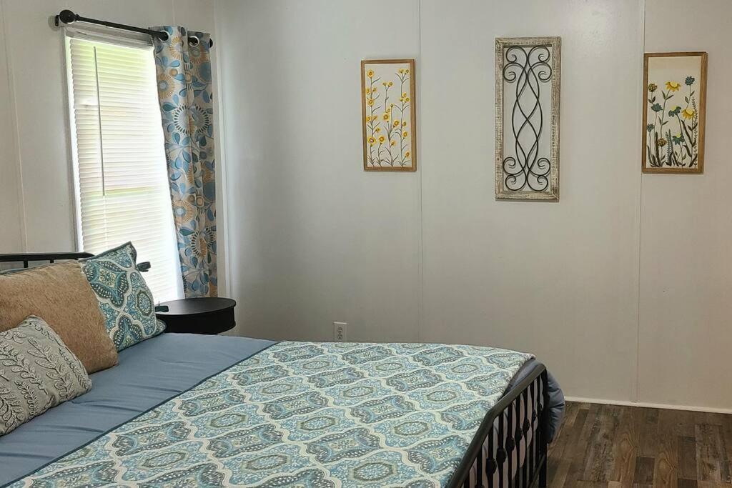 Cozy Cottage With Full View Of The Mountains! Blue Ridge Bagian luar foto